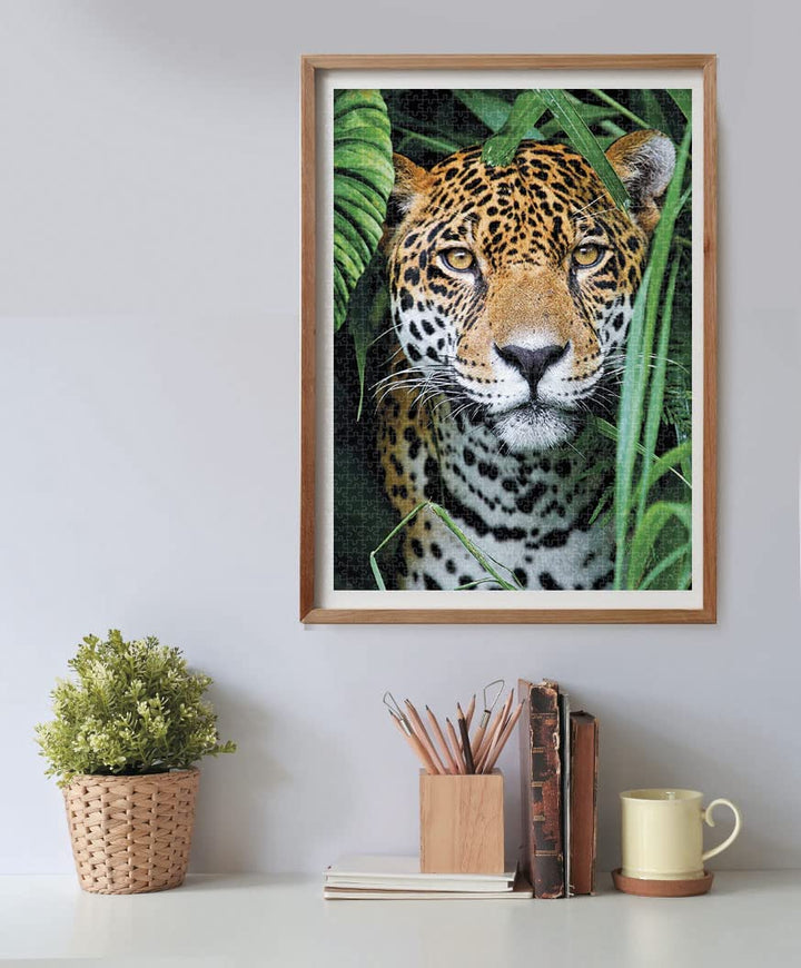 Rompecabezas 500 Piezas Jaguar En La Jungla