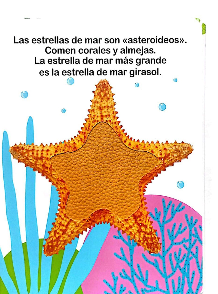 Libro Sensorial Tocar Y Sentir Animales Marinos