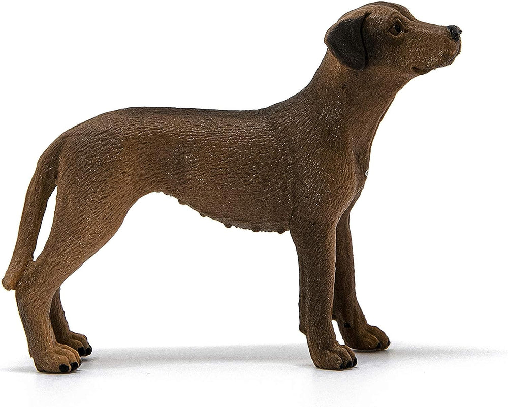 Figura Animales Perro Crestado Rodesiano Pintado A Mano