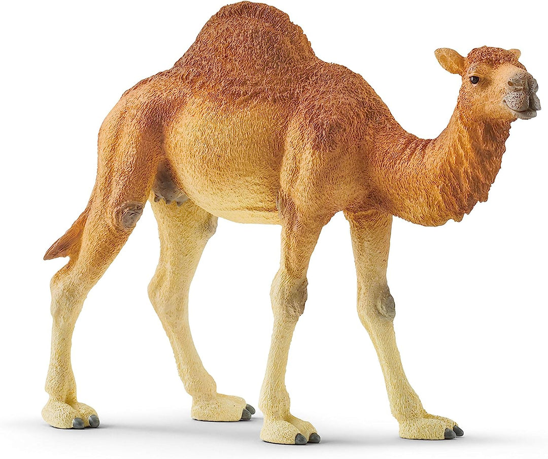 Figura Animales Dromedario Pintado A Mano