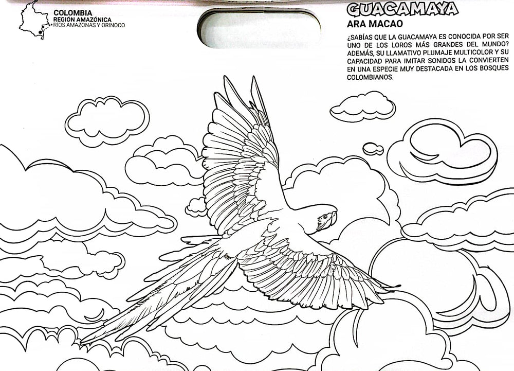Libro Para Colorear Colombia Animales Magicos