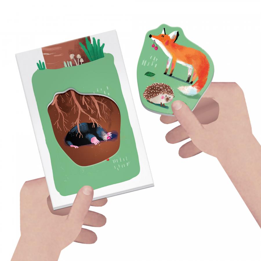 Flash Cards  Montessori La Naturaleza