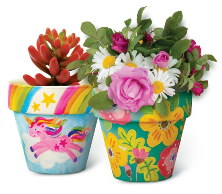 Kit De Arte Pinta Macetas Para Flores