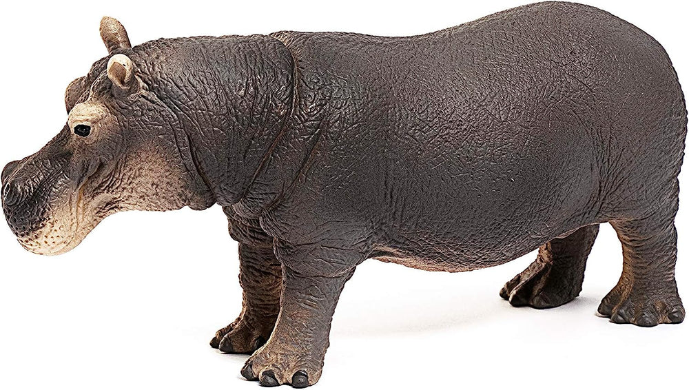 Figura Animales Hipopotamo Pintada A Mano