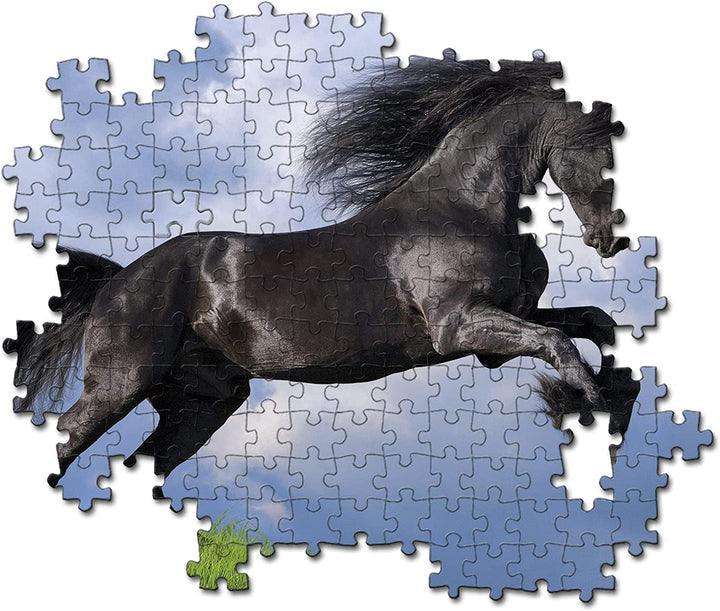 Rompecabezas 500 Piezas Caballo Negro