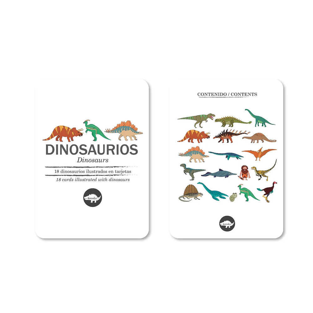 Flash Cards Kocodio Dinosaurios