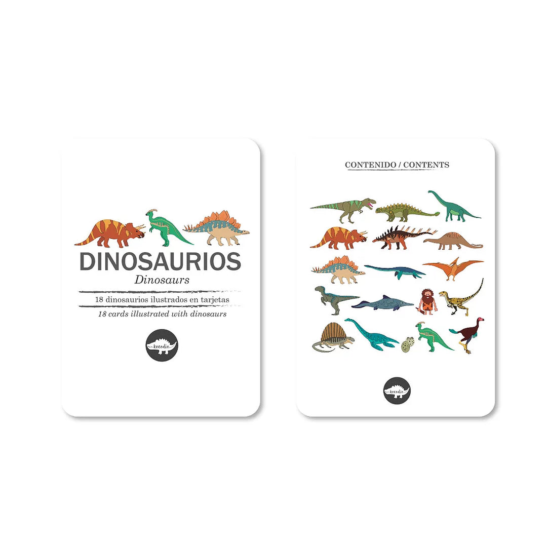 Flash Cards Kocodio Dinosaurios