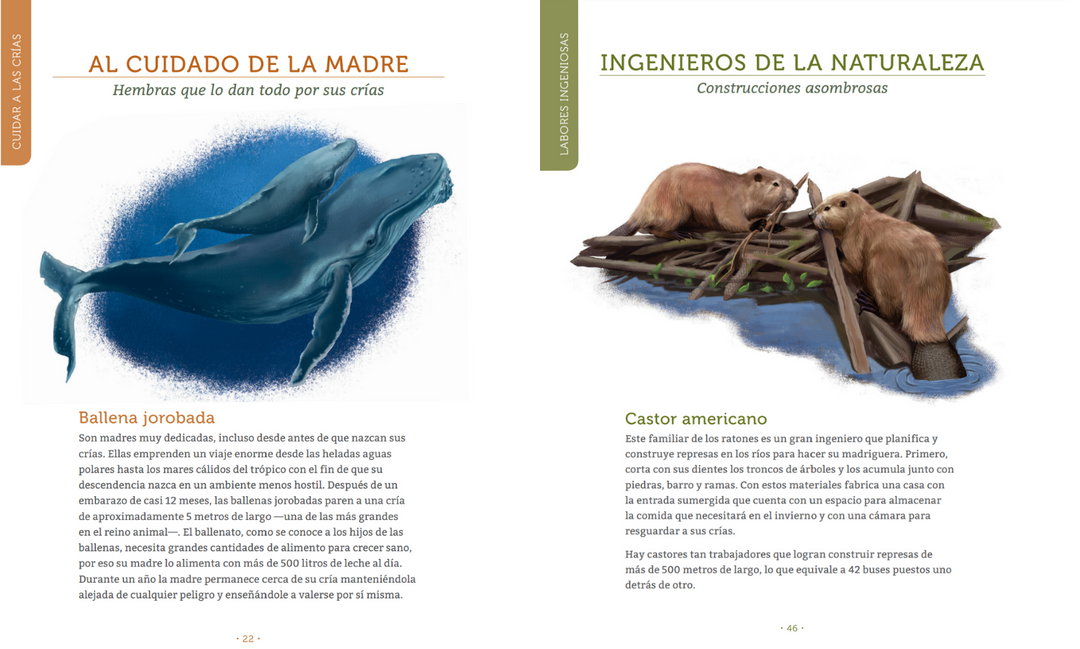 Libro Los Secretos De Los Animales