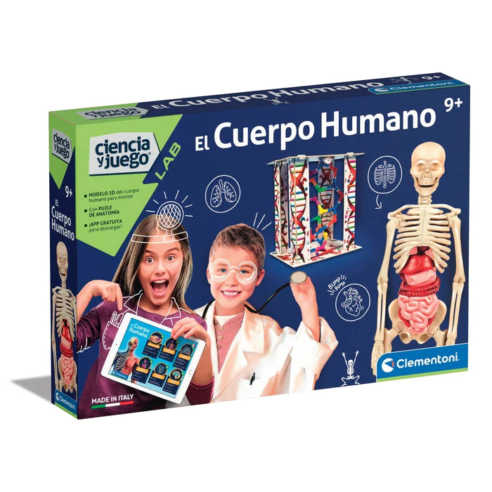 Modelo Anatomico Del Cuerpo Humano