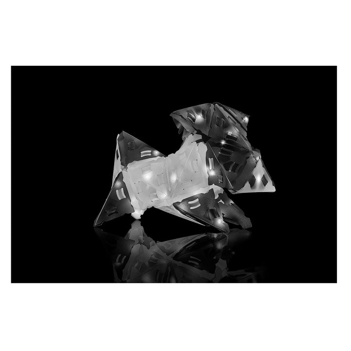 Rompecabezas 3D Animales Monocromaticos LED