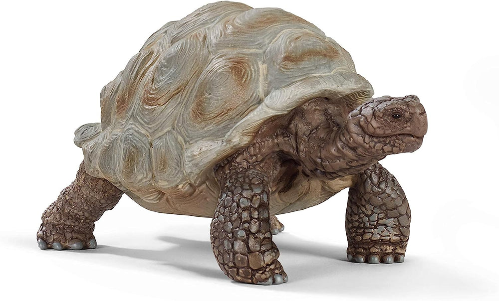 Figura Animales Tortuga Gigante Pintado A Mano