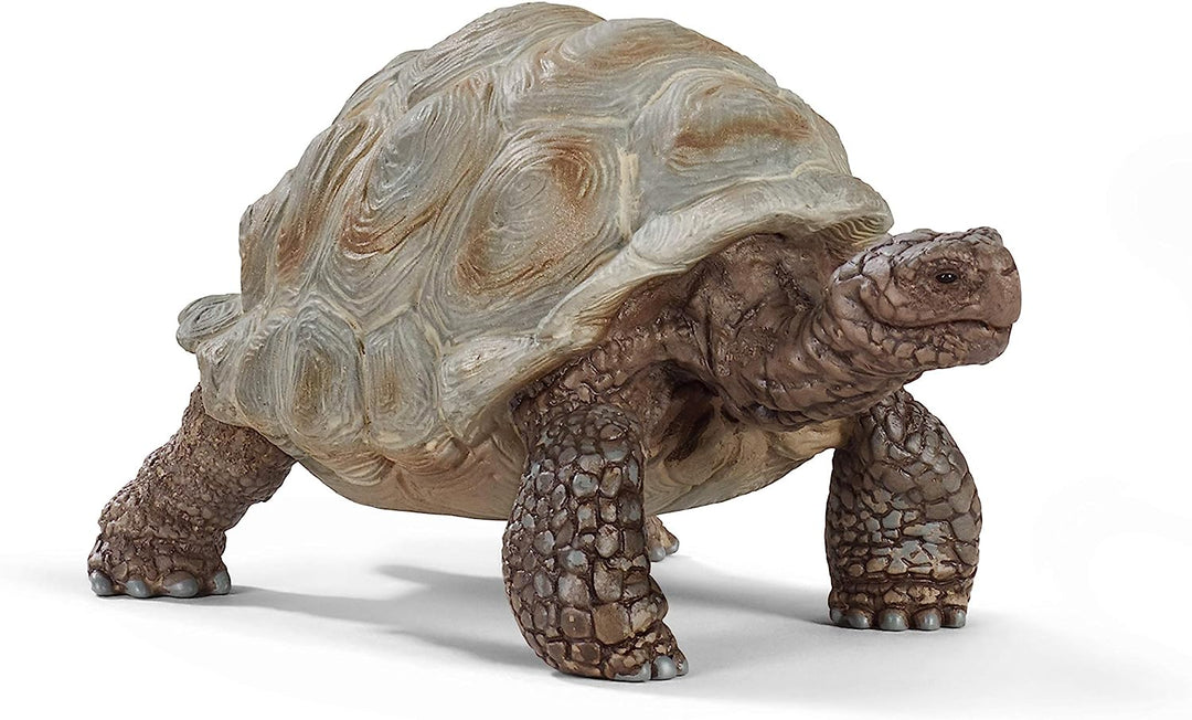 Figura Animales Tortuga Gigante Pintado A Mano