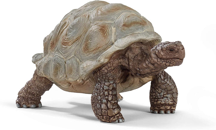Figura Animales Tortuga Gigante Pintado A Mano