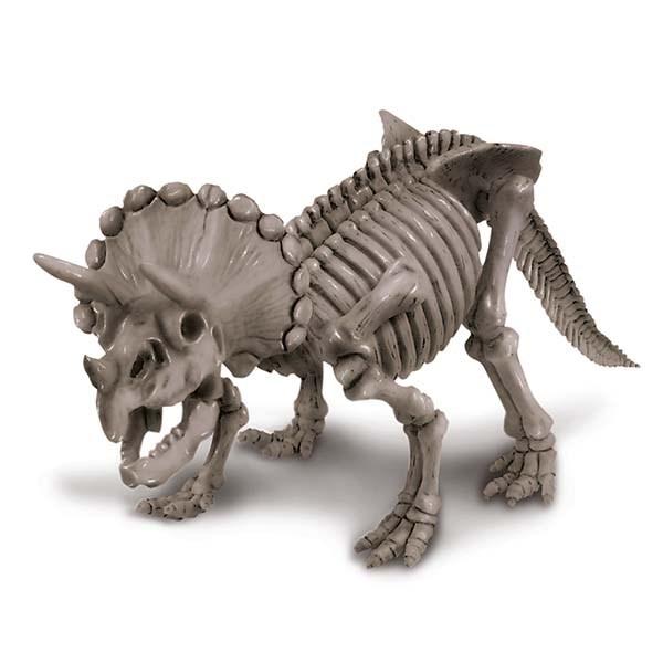 Experimento Arqueología Triceratops