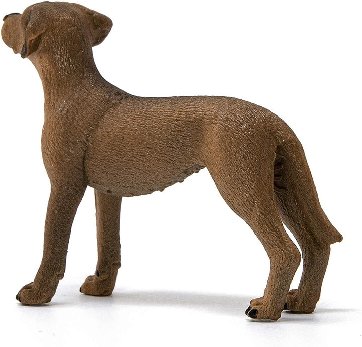 Figura Animales Perro Crestado Rodesiano Pintado A Mano