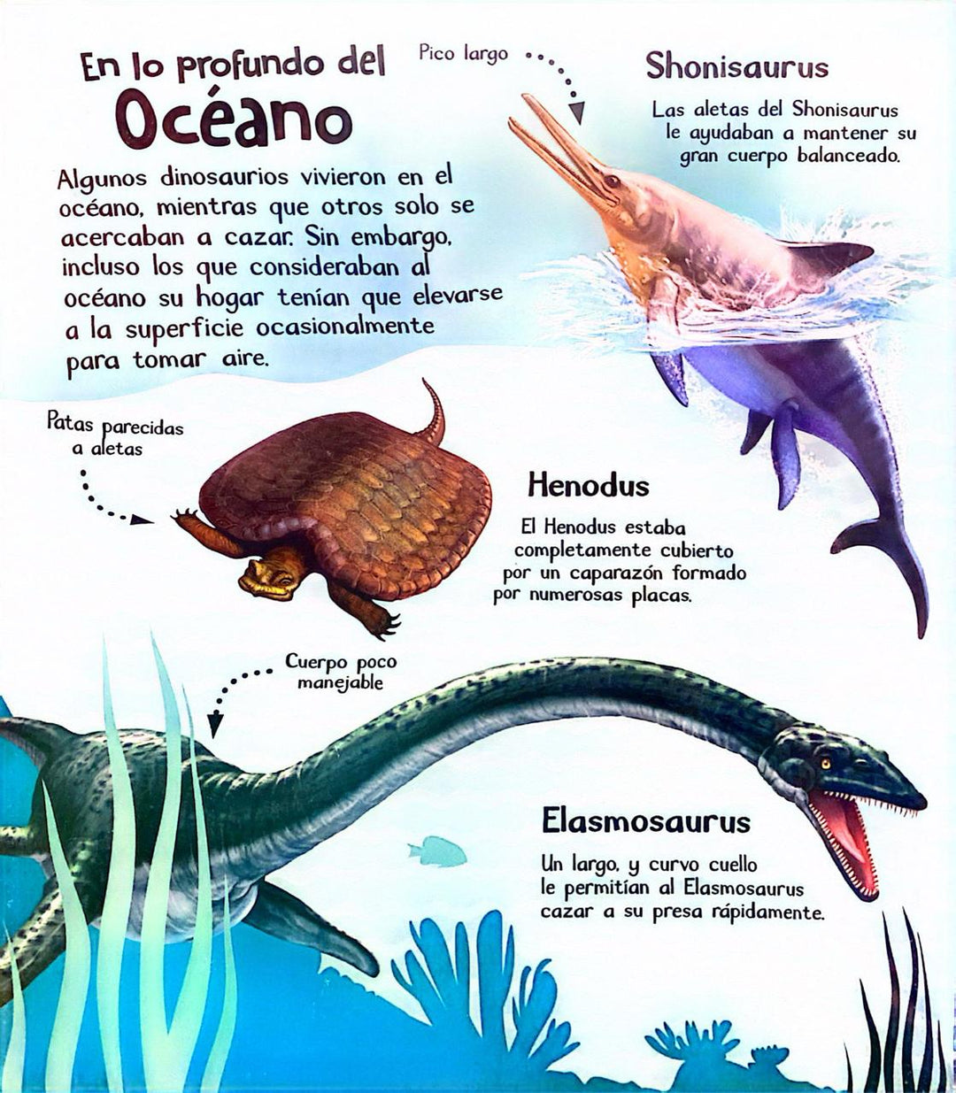Libro Didactico Sonido De Los Dinosaurios