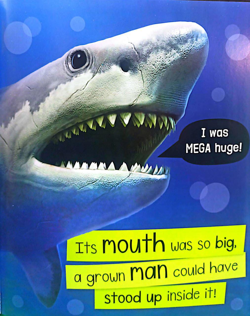 Libro Para Ninos Tiburones Sensorial