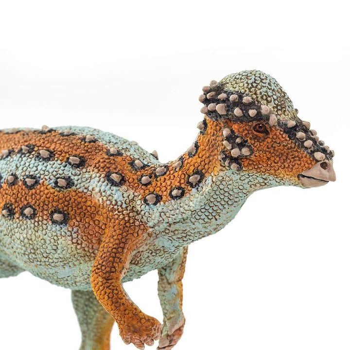 Figura Pachycephalosaurus Pintado a Mano