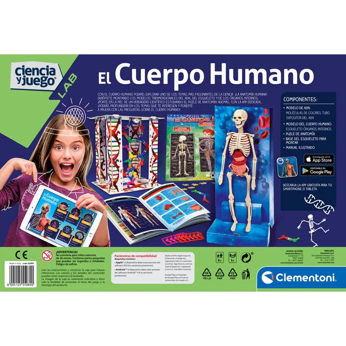 Modelo Anatomico Del Cuerpo Humano