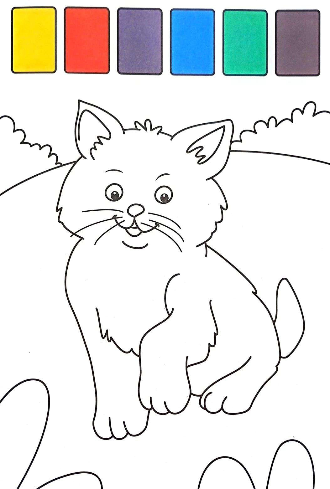 Libro Para Pintar Con Agua Mascotas niños