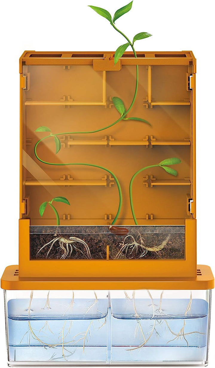 Experimento STEM Haz Crecer Una Planta