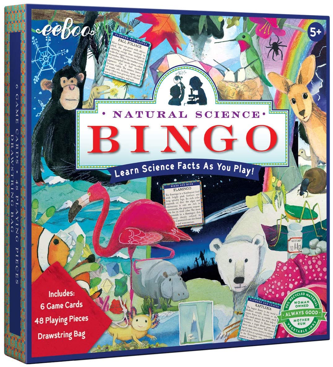 Bingo Didactico Ciencias En Ingles