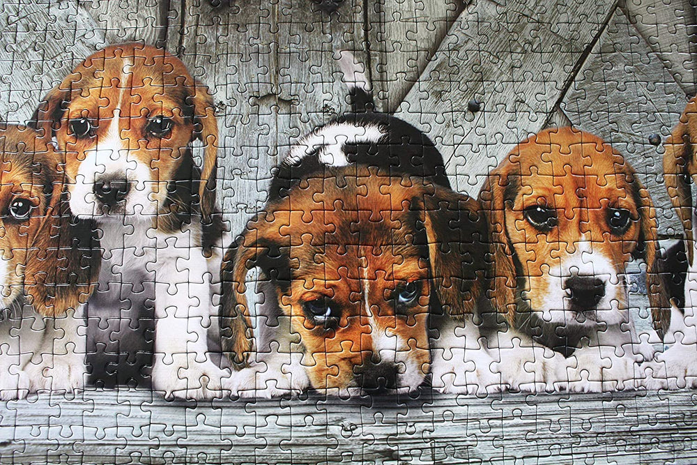 Rompecabezas 1000 Piezas Beagles Panoramico
