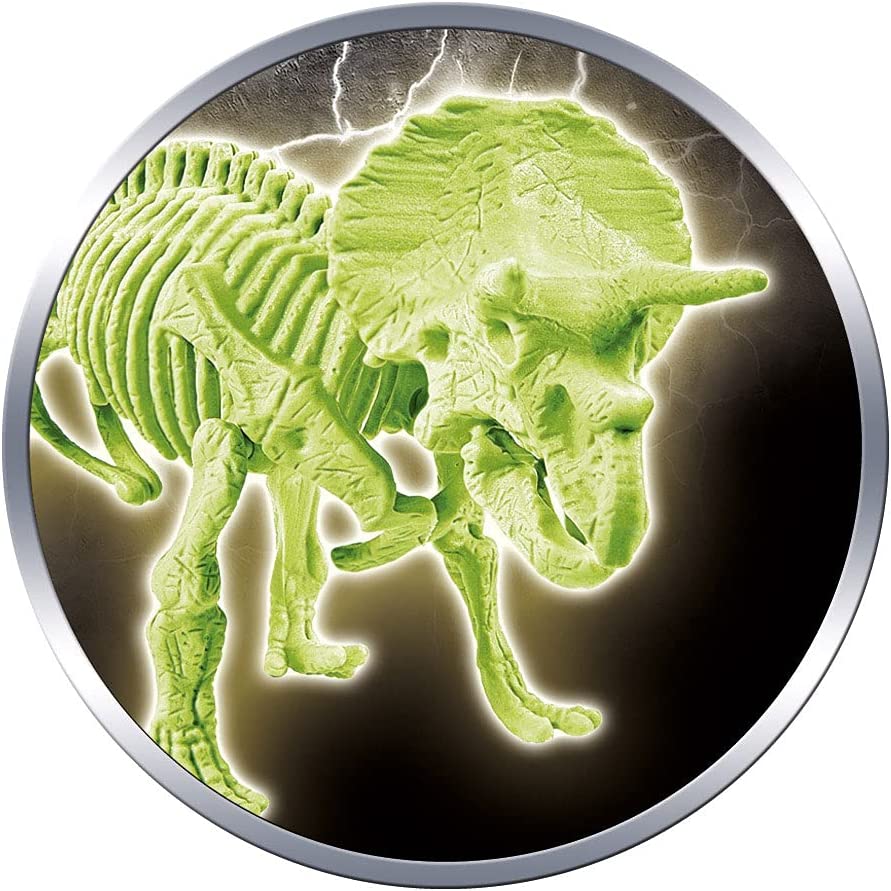 Juego Experimento Fosil De Dinosaurio Triceratops