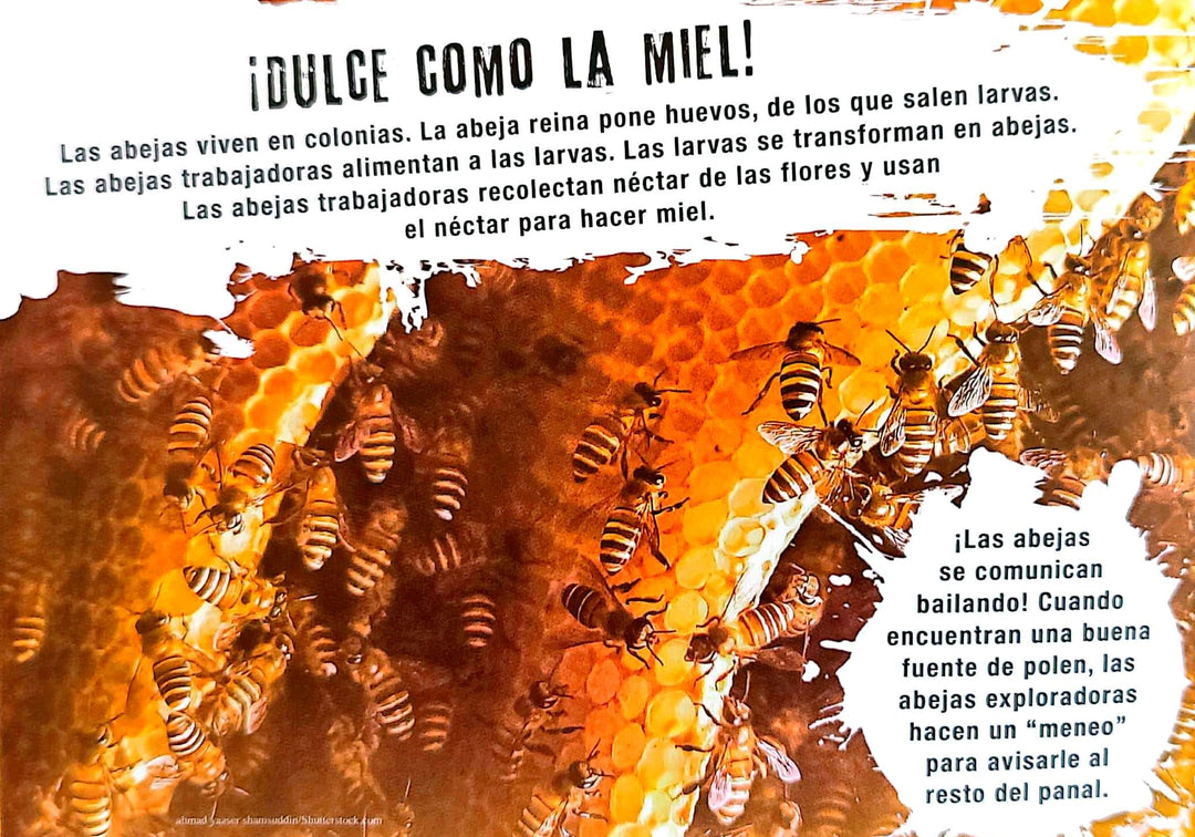 Libro y Juego 2 En 1 Animales Insectos