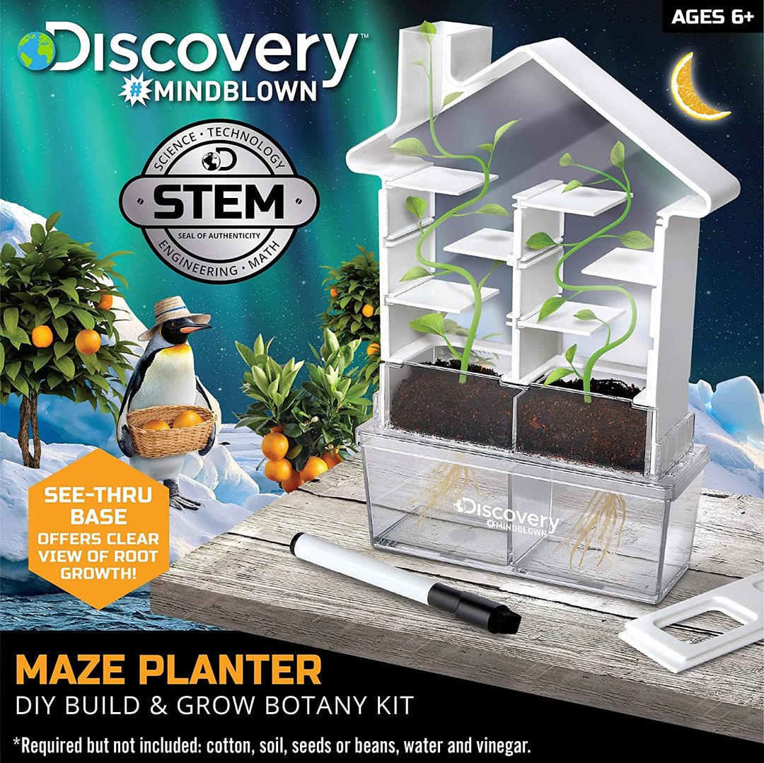 Experimento Ciencia STEM Botanica