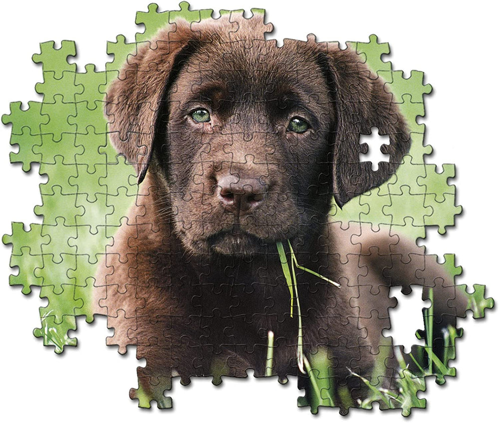 Rompecabezas 500 Piezas Perro Cachorro