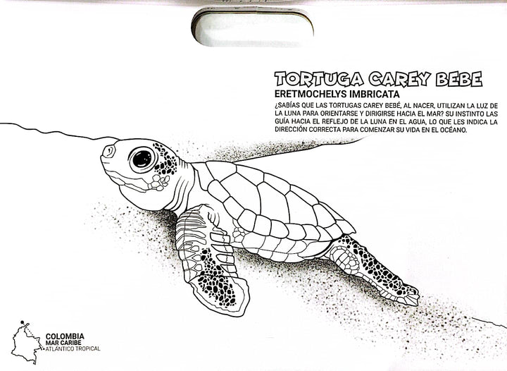 Libro Para Colorear Colombia Animales Magicos