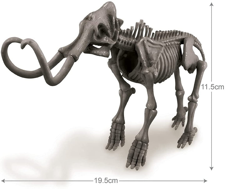 Set de Arqueologia Mamut Fosil