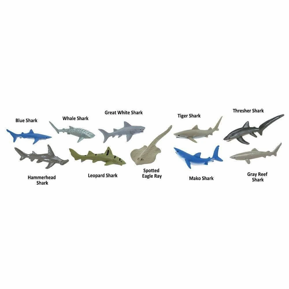 Set De Animales Tiburones