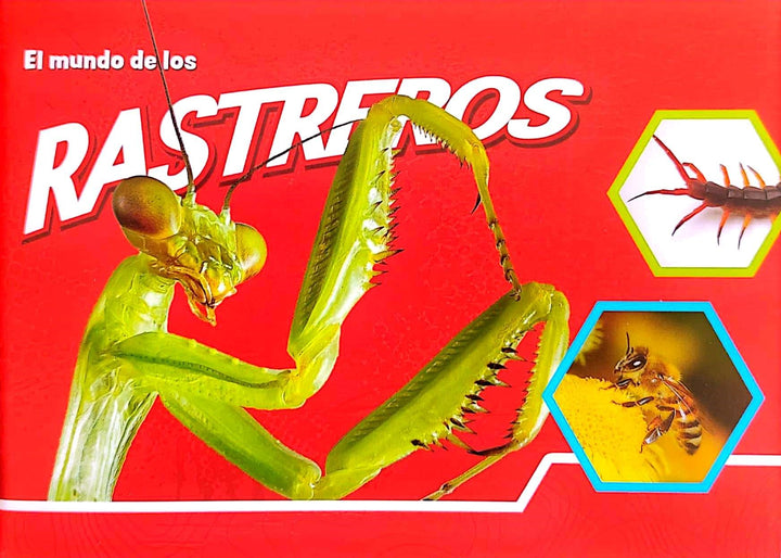 Libro y Juego 2 En 1 Animales Insectos