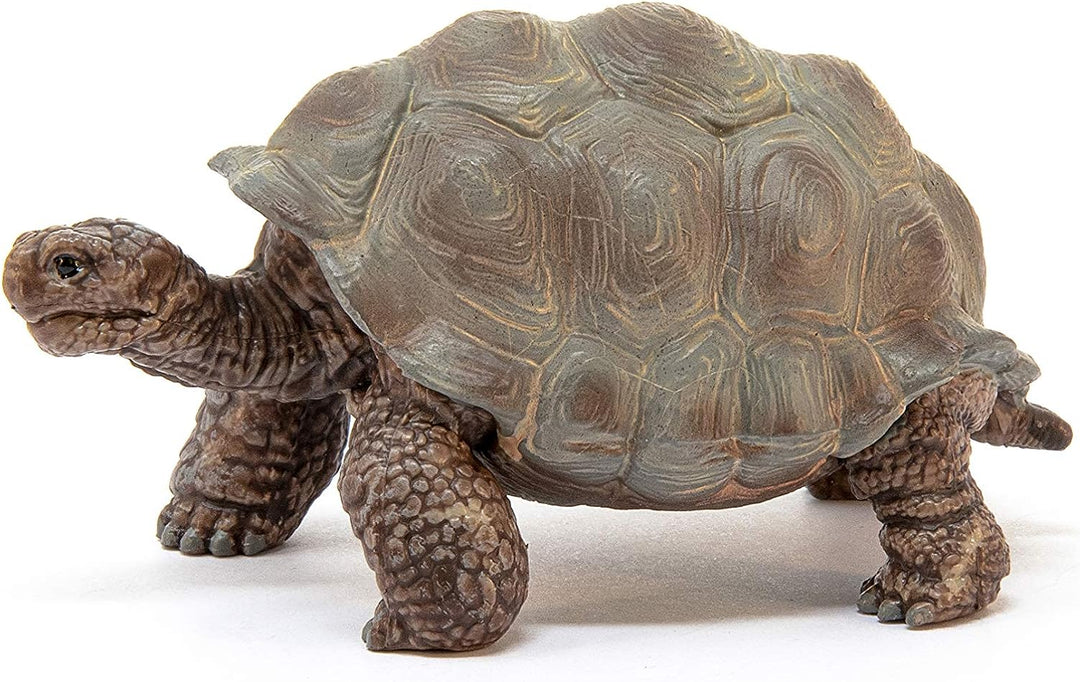 Figura Animales Tortuga Gigante Pintado A Mano