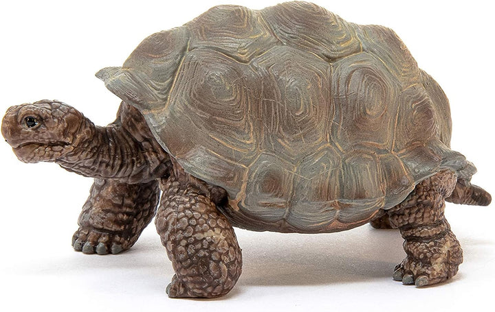 Figura Animales Tortuga Gigante Pintado A Mano
