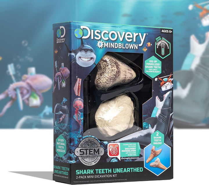 Kit De Excavacion Fosiles Dientes Tiburon