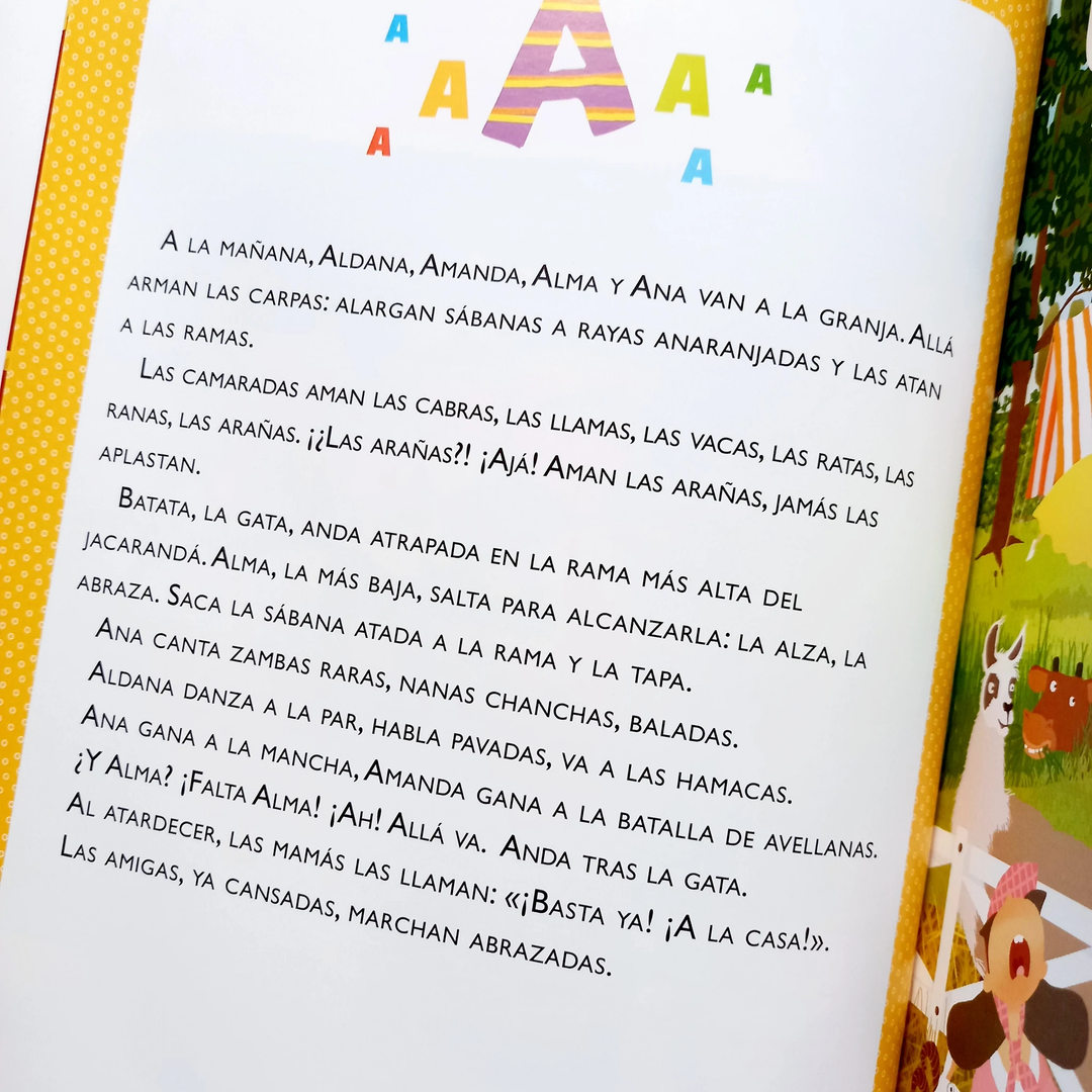 Libro Mas Letras Que No Se Que Vocabulario