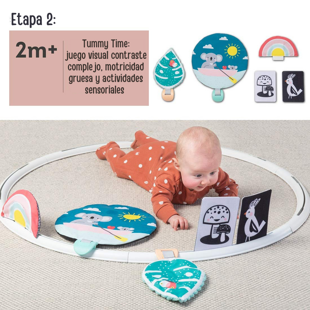 Aro De Estimulación Sensorial Tummy Time