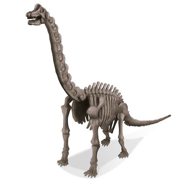 Experimento Arqueología Brachiosaurus