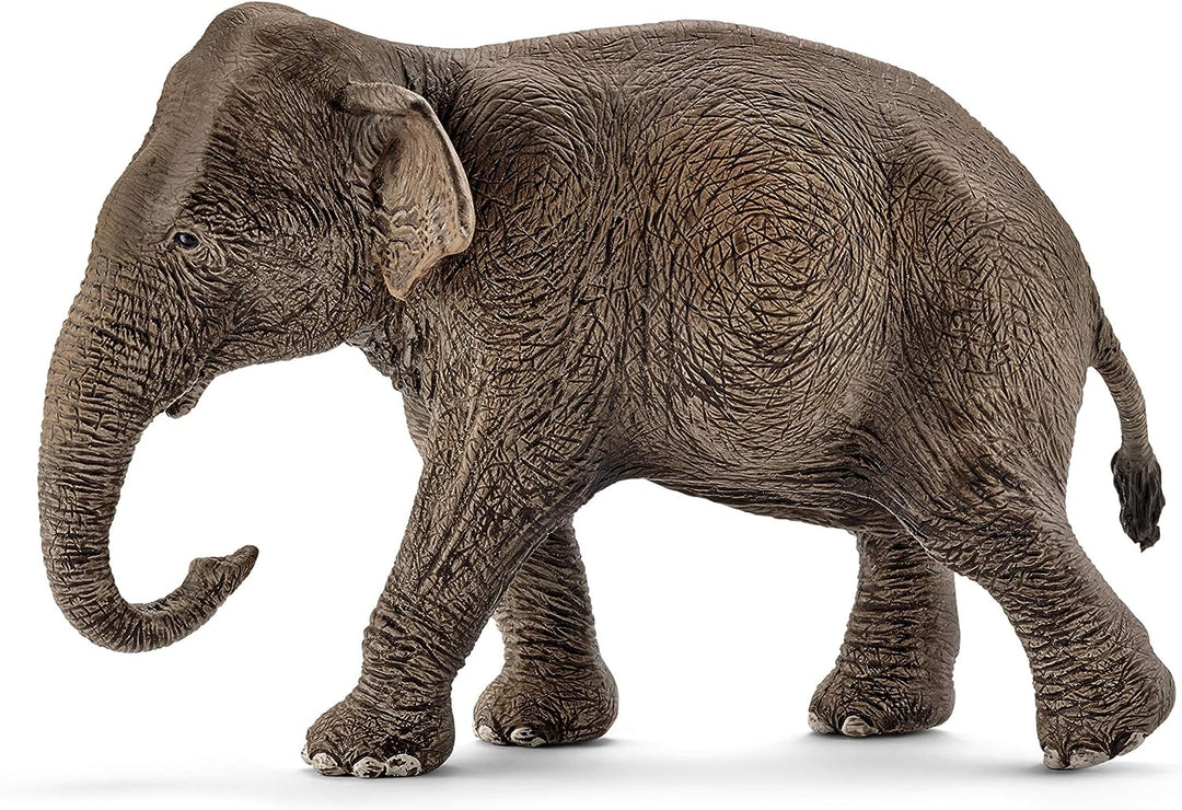 Figura Animales Elefante Asiatico Pintado A Mano