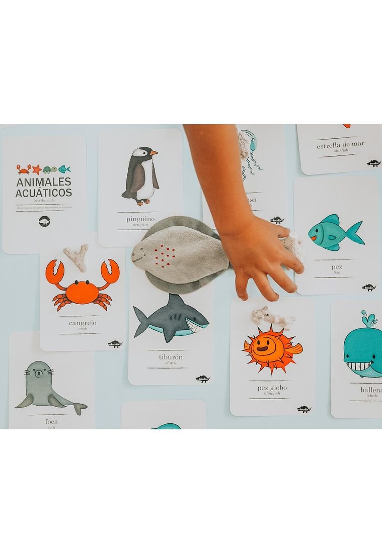 Flash Cards Kocodio Animales Acuáticos