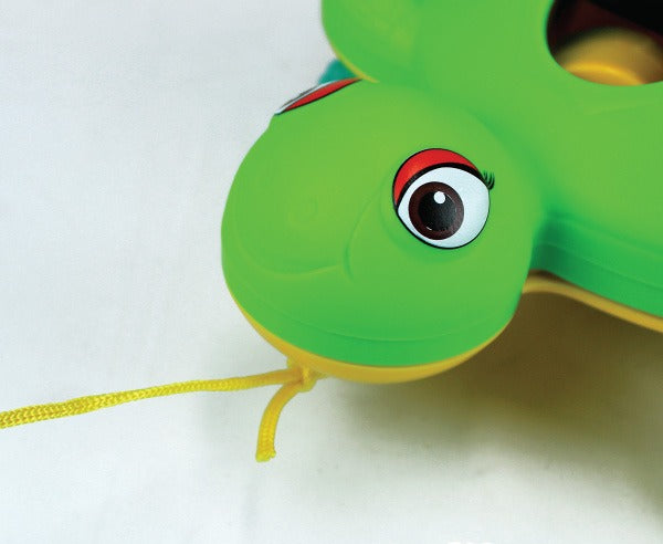 Tortuga Didáctica Para Encajar