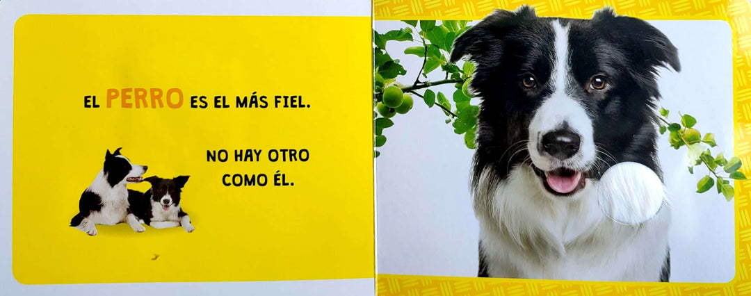 Libro De Texturas Animales De La Granja