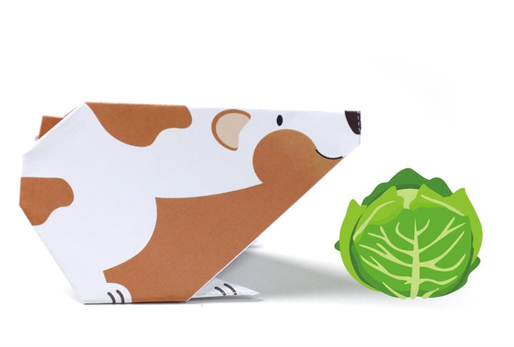 Set De Arte Y Manualidades Origami Mascotas