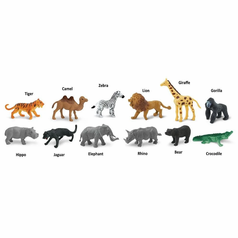 Set De Animales De La Selva