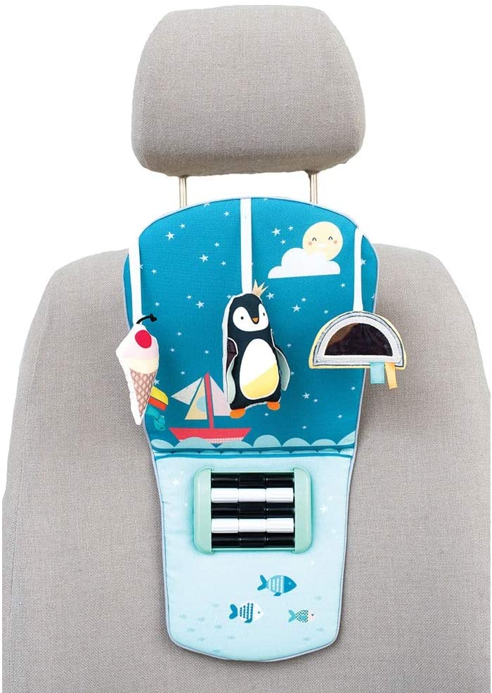 Centro De Estimulación Para El Carro