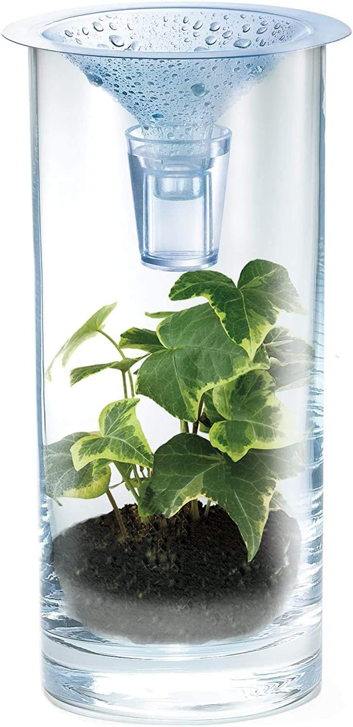 Experimento STEM Ciencia Del Agua Limpia