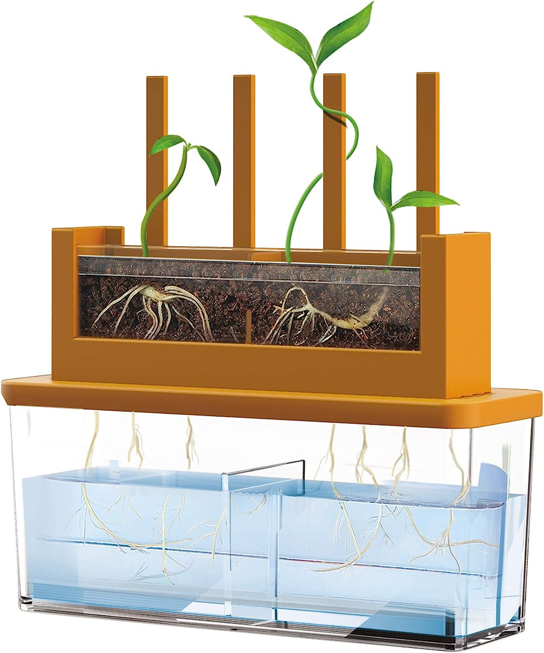 Experimento STEM Haz Crecer Una Planta